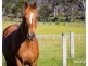 Lot 28, 40520 Tasman Highway, St Leonards TAS 7250
