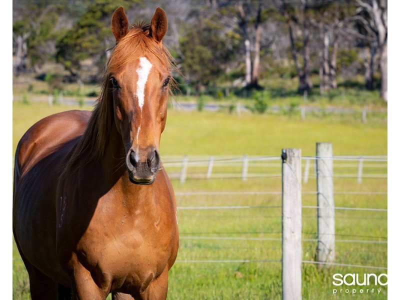 Lot 28, 40520 Tasman Highway, St Leonards TAS 7250