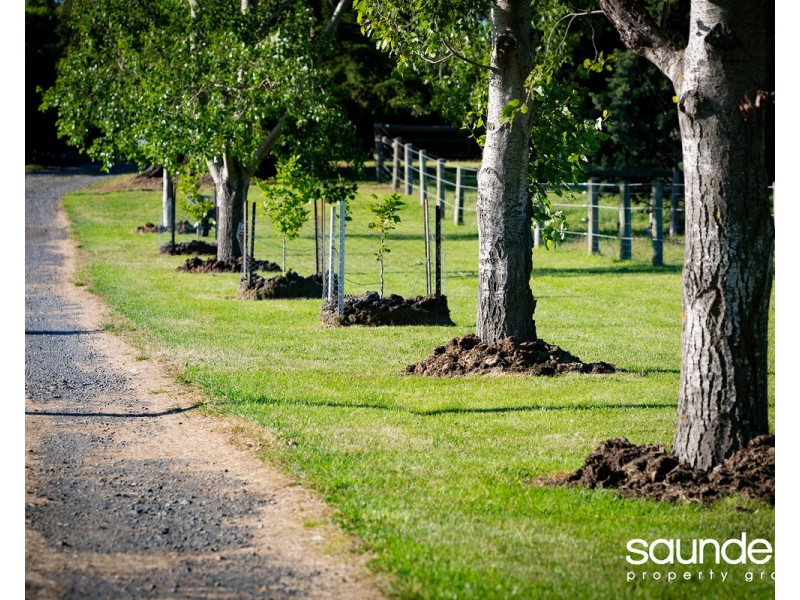 Lot 29, 40520 Tasman Highway, St Leonards TAS 7250