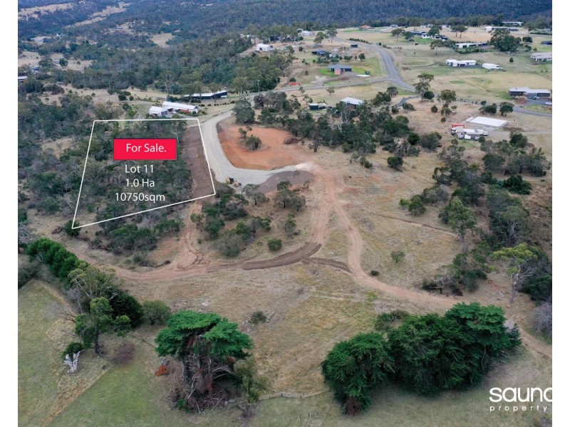 Lot 11, 40520 Tasman Highway, St Leonards TAS 7250