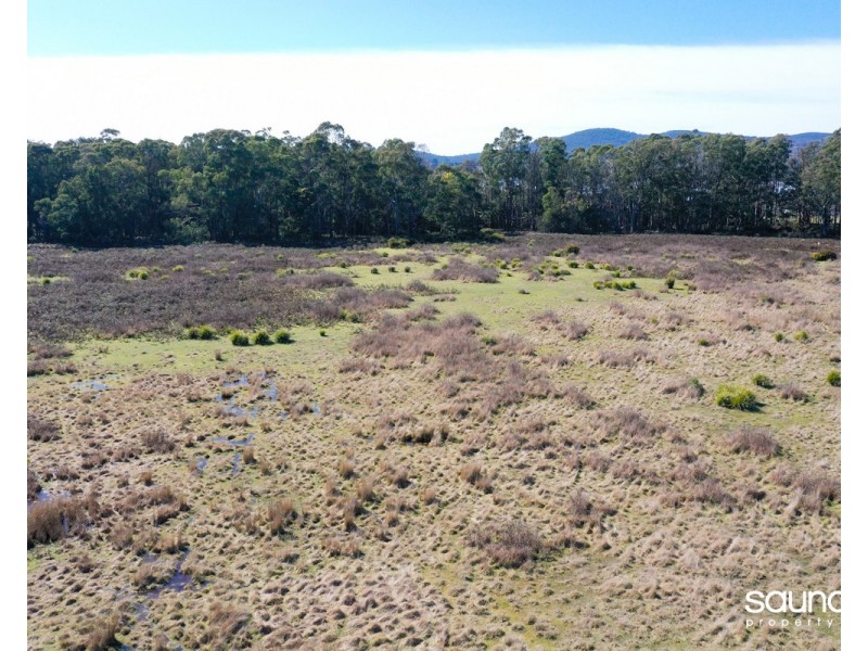 530 Gravelly Beach Road, Gravelly Beach TAS 7276