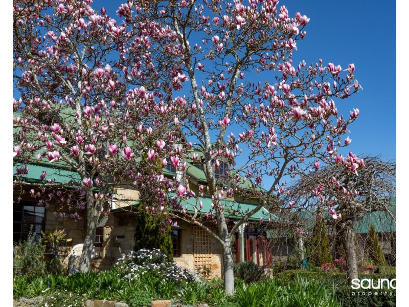 1 Walnut Grove, Summerhill TAS 7250