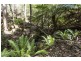 29 Foleys Road, Sheffield TAS 7306