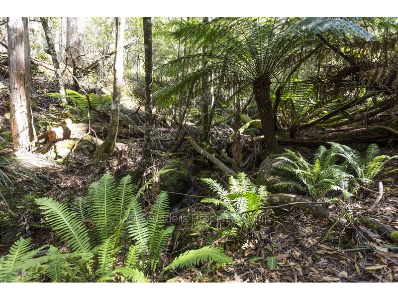 29 Foleys Road, Sheffield TAS 7306