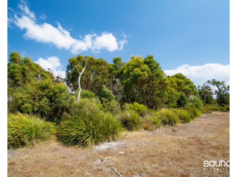 269 Saltwood Road, Pipers Brook TAS 7254