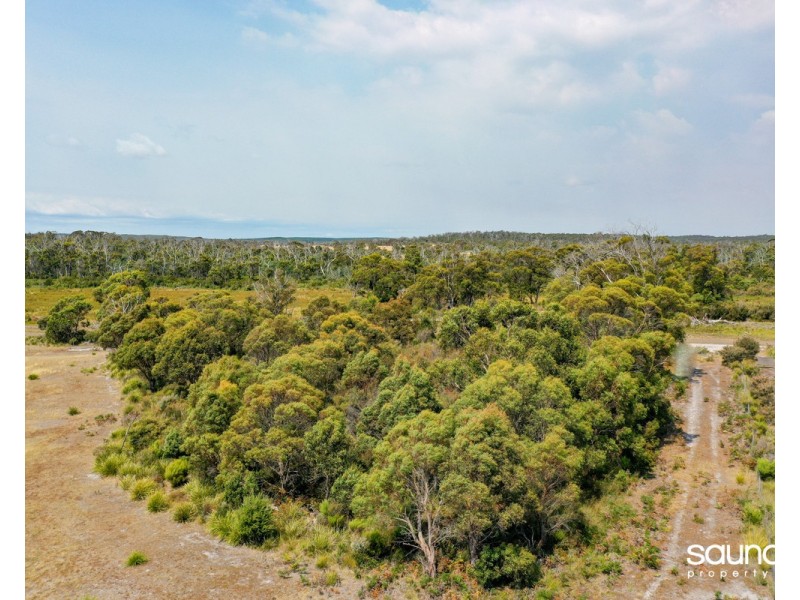 269 Saltwood Road, Pipers Brook TAS 7254