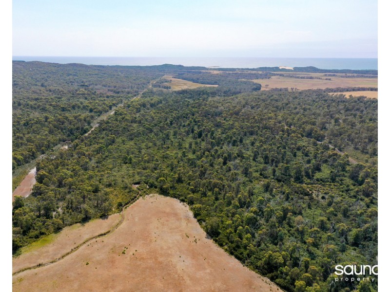 269 Saltwood Road, Pipers Brook TAS 7254