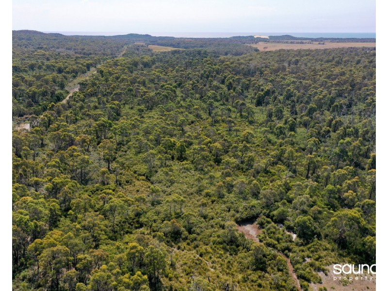 269 Saltwood Road, Pipers Brook TAS 7254