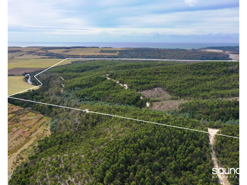 Red Road, Weymouth TAS 7252