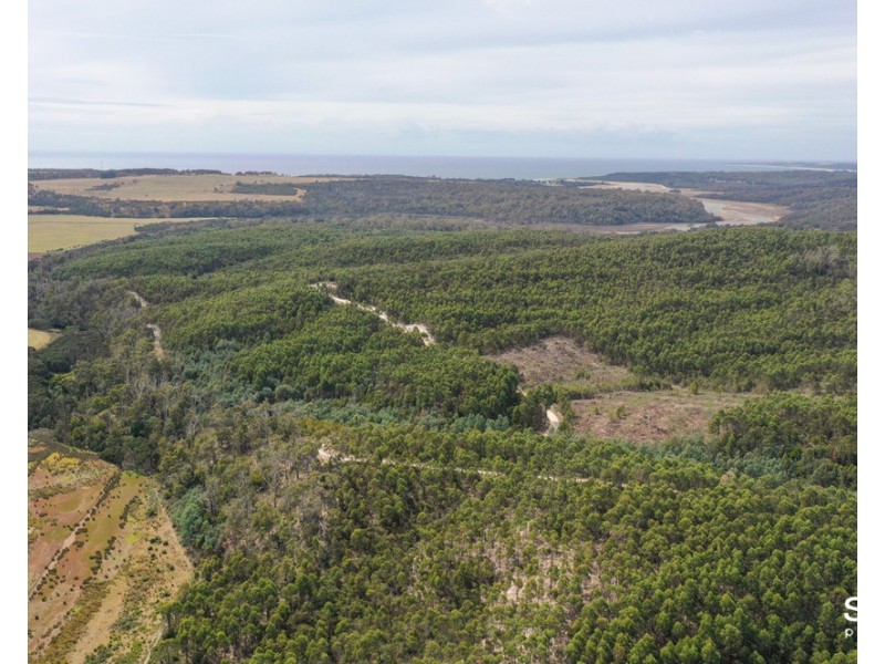 Red Road, Weymouth TAS 7252