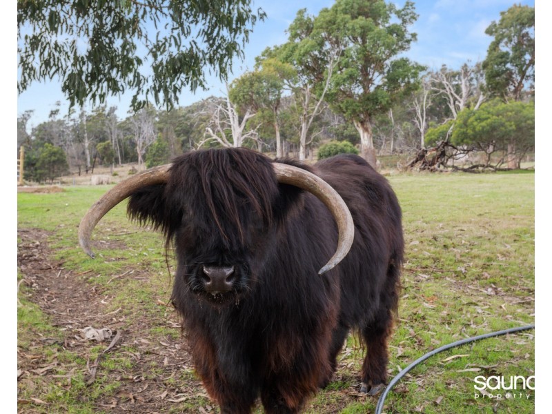 165 Bridgenorth Road, Legana TAS 7277