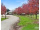 40 Elgin Lane, Westbury TAS 7303