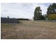 11 Spring Grove, Latrobe TAS 7307
