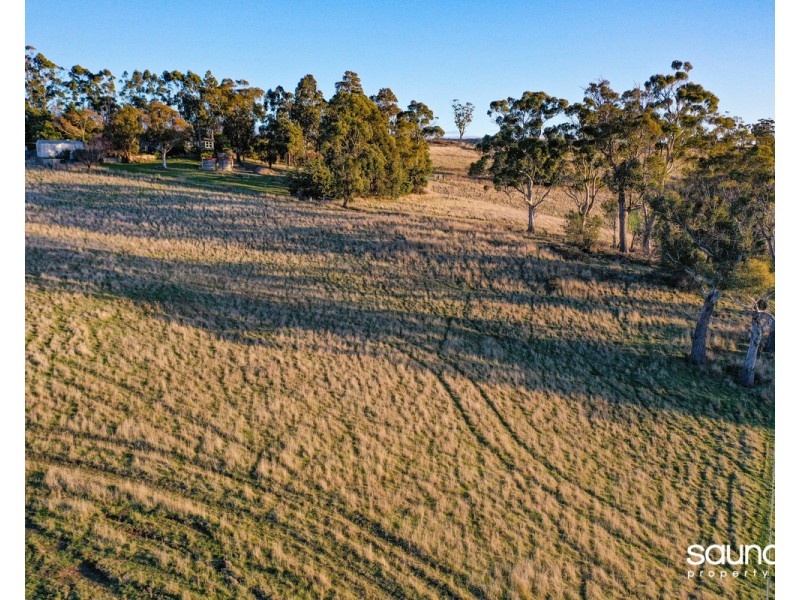 Lot 19, 40520 Tasman Highway, St Leonards TAS 7250