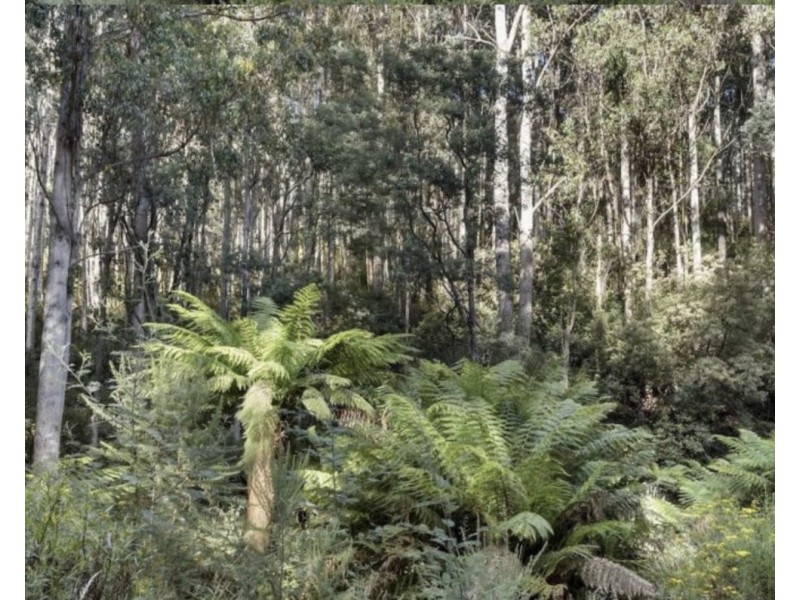 Lot 1, Huon Highway, Glendevie TAS 7109
