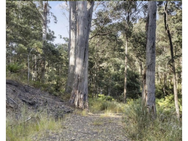 Lot 1, Huon Highway, Glendevie TAS 7109