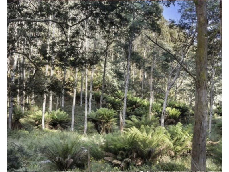 Lot 1, Huon Highway, Glendevie TAS 7109