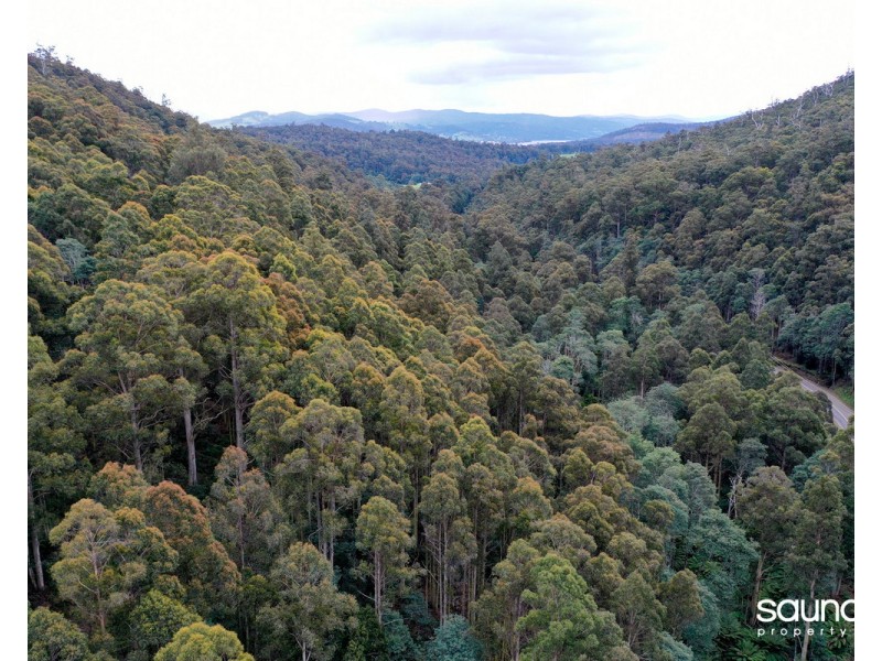 Lot 1, Huon Highway, Glendevie TAS 7109