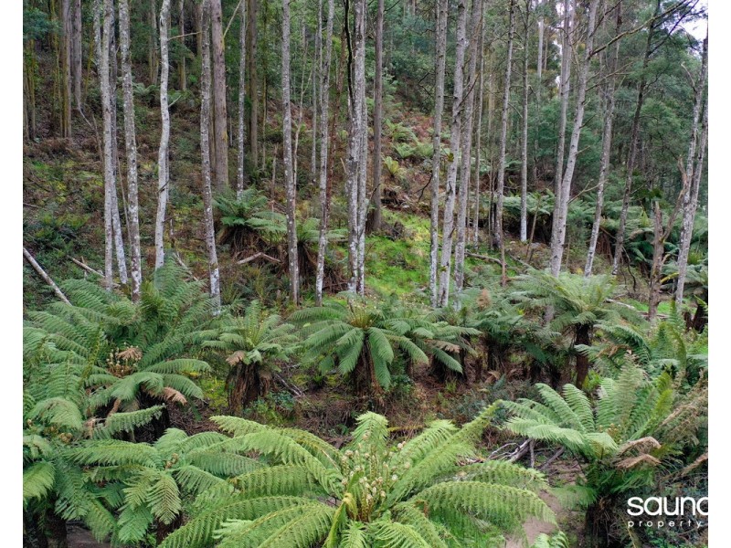 Lot 1, Huon Highway, Glendevie TAS 7109