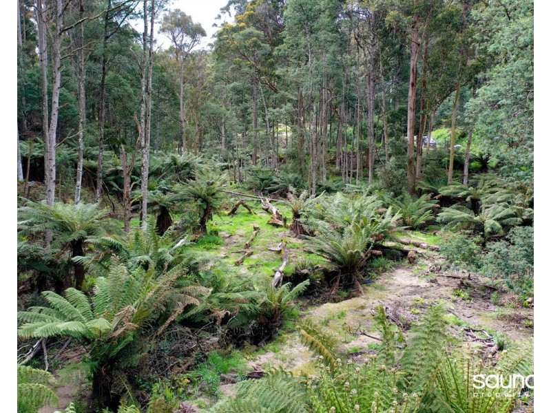 Lot 1, Huon Highway, Glendevie TAS 7109