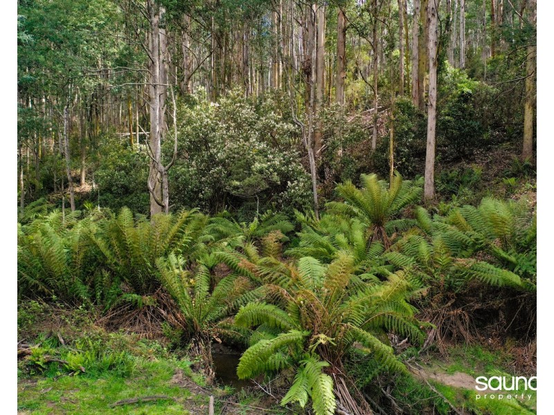 Lot 1, Huon Highway, Glendevie TAS 7109
