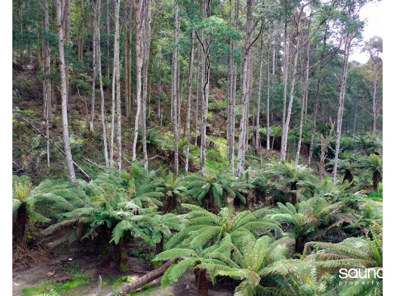 Lot 1, Huon Highway, Glendevie TAS 7109