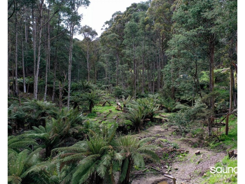 Lot 1, Huon Highway, Glendevie TAS 7109
