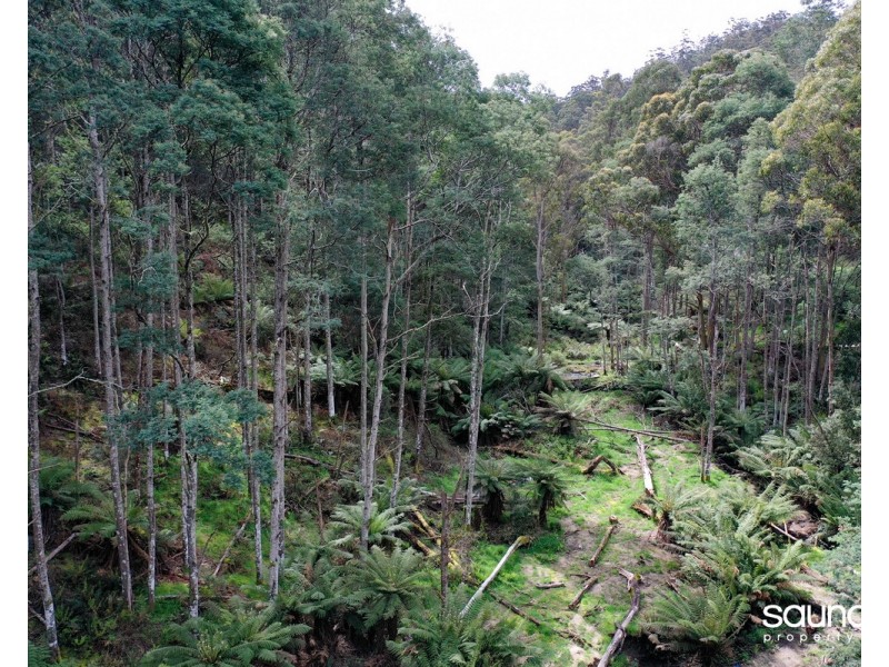 Lot 1, Huon Highway, Glendevie TAS 7109