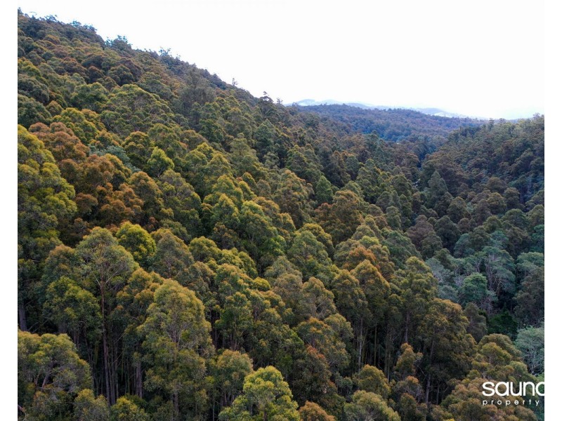 Lot 1, Huon Highway, Glendevie TAS 7109