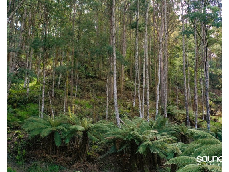 Lot 1, Huon Highway, Glendevie TAS 7109