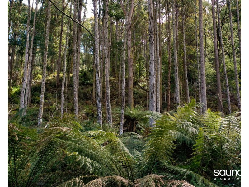 Lot 1, Huon Highway, Glendevie TAS 7109