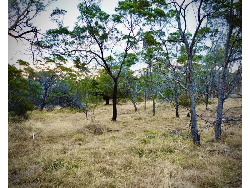 Lot 12,  Harden Court, St Leonards TAS 7250