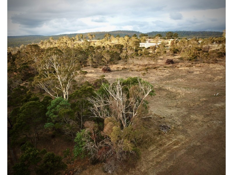 Lot 12,  Harden Court, St Leonards TAS 7250