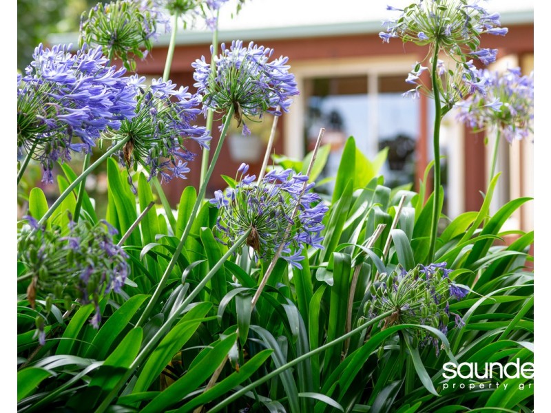 439 Brown Mountain Road, Karoola TAS 7267