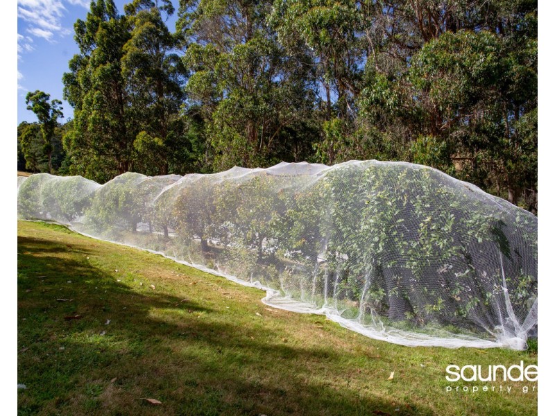 439 Brown Mountain Road, Karoola TAS 7267