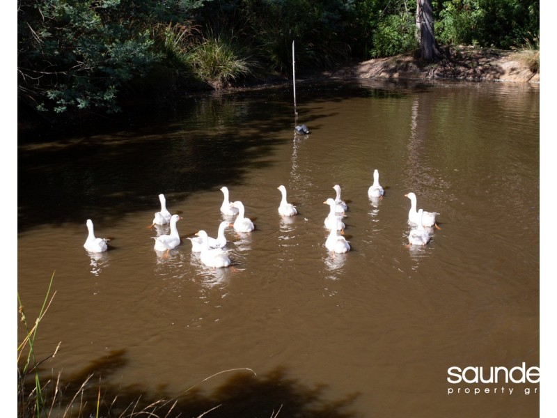 439 Brown Mountain Road, Karoola TAS 7267