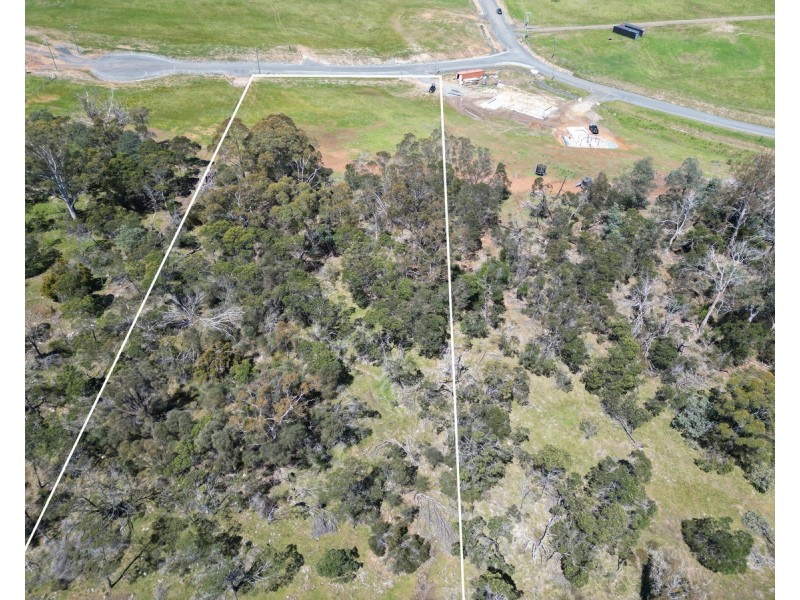 5 Harden Court, St Leonards TAS 7250