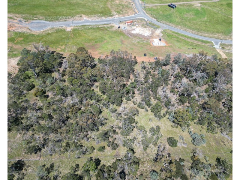 5 Harden Court, St Leonards TAS 7250