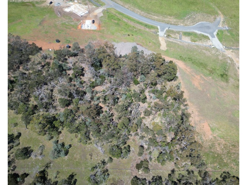 5 Harden Court, St Leonards TAS 7250