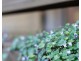 66 Mungala Crescent, Miandetta TAS 7310