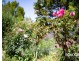 44A Grigg Street, Deloraine TAS 7304