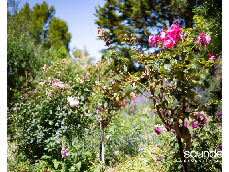 44A Grigg Street, Deloraine TAS 7304