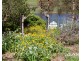44A Grigg Street, Deloraine TAS 7304