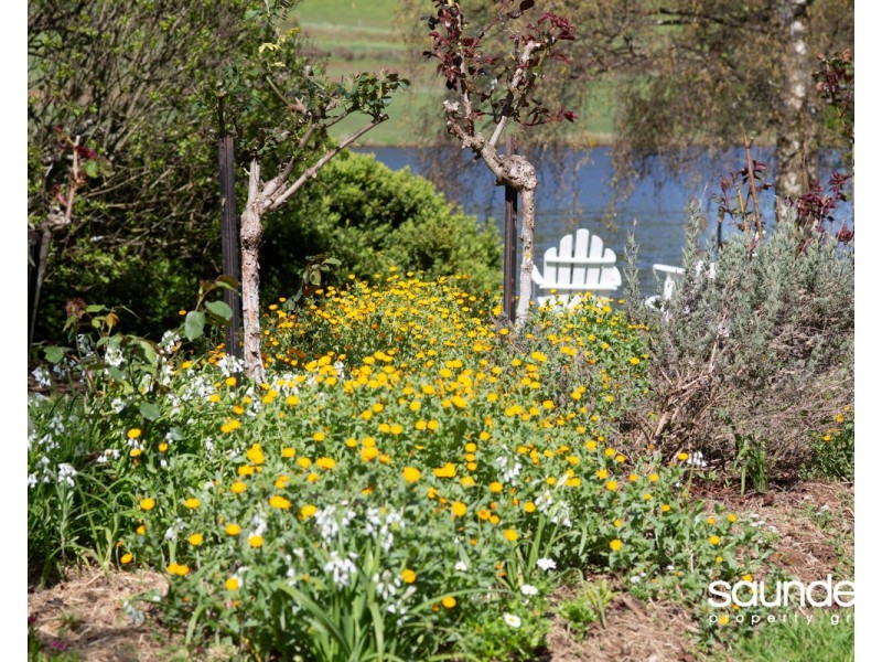 44A Grigg Street, Deloraine TAS 7304