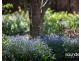 44A Grigg Street, Deloraine TAS 7304