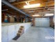 81 New World Avenue, Trevallyn TAS 7250