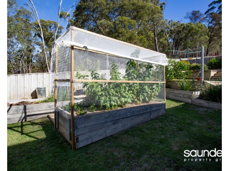 81 New World Avenue, Trevallyn TAS 7250