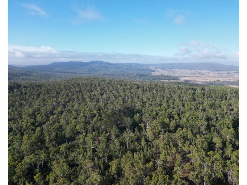 Bradys Plains Road, Parkham TAS 7304