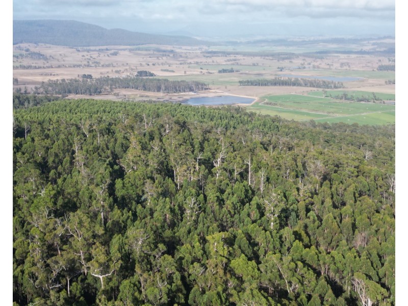 Bradys Plains Road, Parkham TAS 7304