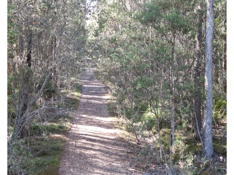 Bradys Plains Road, Parkham TAS 7304